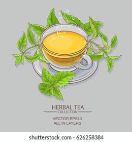 nettle tea illustration