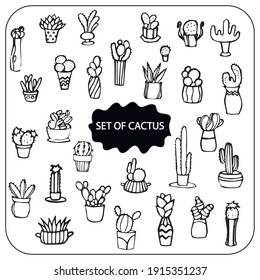 a network of cacti will help you work on any creative project