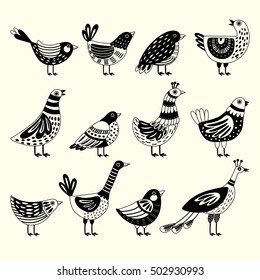 Network illustration with decorative birds. Freehand drawing