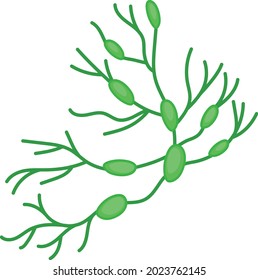 neural network Concept Vector color Icon Design, Organ System Symbol, Human Anatomy Sign, Human Body Parts Stock illustration