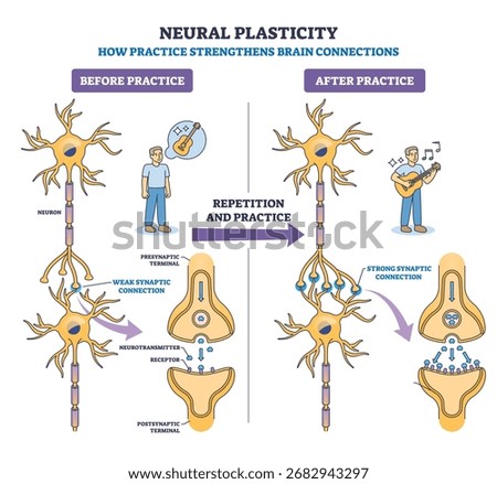 Neural plasticity shows how practice strengthens brain connections, key objects, neurons, synapses, person practicing. Outline diagram