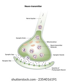 Neuro Transmitter Vector Design Illustration