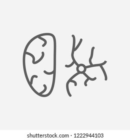 Neurobiology icon line symbol. Isolated vector illustration of  icon sign concept for your web site mobile app logo UI design.