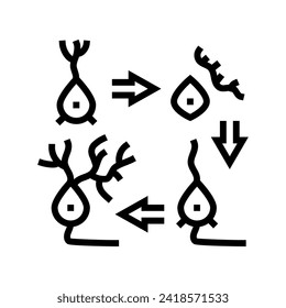neurogenesis neuroscience neurology line icon vector. neurogenesis neuroscience neurology sign. isolated contour symbol black illustration