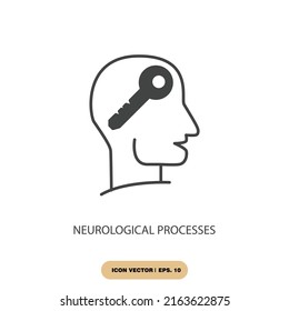 neurological processes icons  symbol vector elements for infographic web