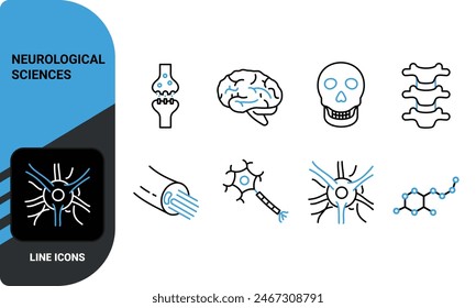 Neurological Sciences Icon Set. Thin Linear Illustrations of Brain, Neuron Structure, Nerve, Skull, Neurotransmitter and Brain Synapse, Spinal Cord. Isolated Vector Signs.