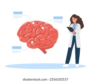 Neurologist concept. Female doctor examine human brain. Anatomy and biology. Neurology or Neuroscience. Vector illustration in flat cartoon style.