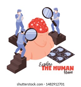Neurologists with magnifying glasses research human brain anatomy functions diseases pathology treatments isometric symbolic composition vector illustration 