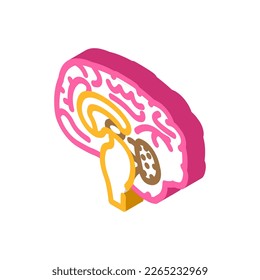 neurología cerebral isométrica vector de ícono. signo neurológico del cerebro. ilustración de símbolo aislado