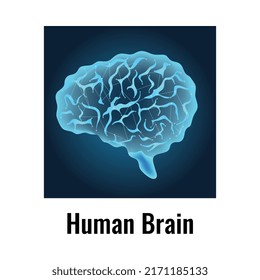 Neurology and human brain anatomy composition with editable text captions flat isolated vector illustration