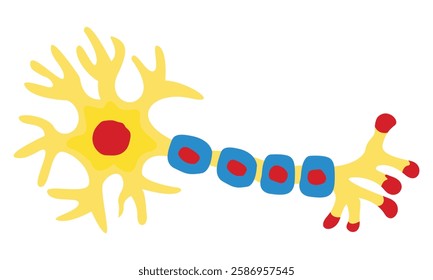 Neuron Anatomy Vector Line Art Creative Kids Science Diagram Design Vector Illustration.