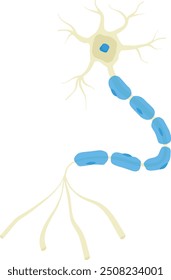 Neuron - Brain Cell Vector Illustration. Biology. Science. Back to School