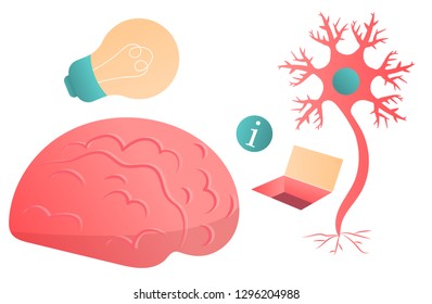 Neuron, brain, information transfer. Light bulb and idea. Vector flat set of isolated objects on a white background