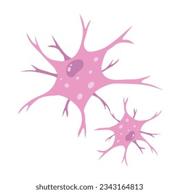 Neuron cell. Brain activity and dendrites. Membrane and the nucleus. Medical Concept of memory and connection. Educational illustration isolated on white
