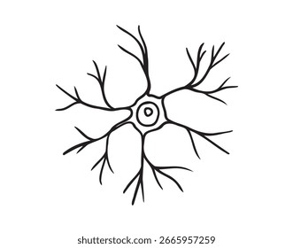 neuron cell doodle hand drawn icon. Outline pyramidal neuron cell drawing line clipart symbol. Vector illustration