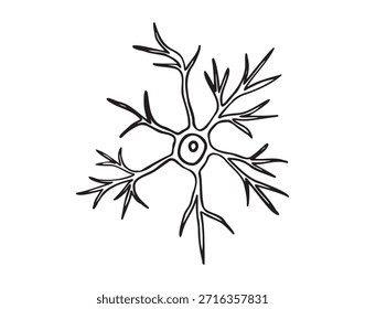 Icono dibujado a mano del doodle de la célula de la neurona. Símbolo de Clipart de línea de dibujo de neurona piramidal. Ilustración vectorial