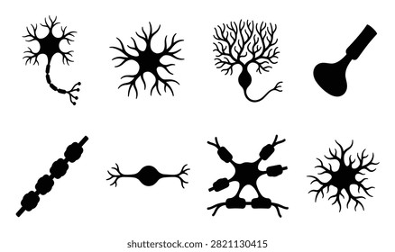 Neuron cell types icon set featuring motor neuron purkinje cell multipolar nerve and brain cell vectors