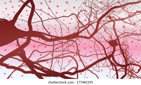 neuron cells connection