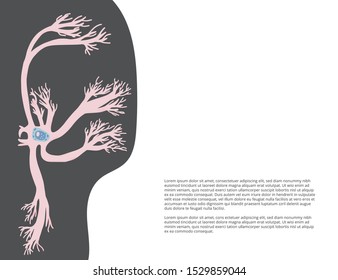 Neuron cells with long axons. Vector illustartion.