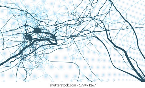 Neuron Cells Network, Vector Concept Of Neurons And Nervous System