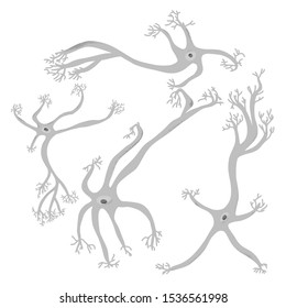Neuron cells set. Collection of brain neurocyte. Vector illustartion.
