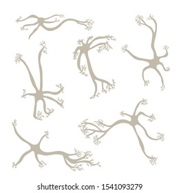 Neuron cells set. Collection of brain neurocyte. Vector illustartion.