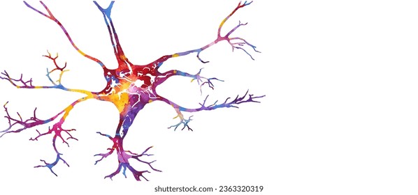 Neuron colorful watercolor vector illustration