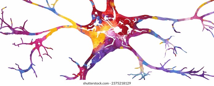 Neuron colorful watercolor vector illustration