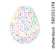 neuroscience brain vector