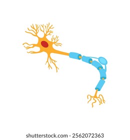 Neuron, Human Body Part Illustration