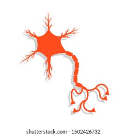 Neuron or human brain cell icon. Flat. Isolated. On white background. 