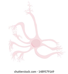 Neuron with long axons. Vector illustration.