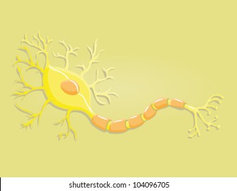 Neuron with myelin shed and synapses / dendrites. The brain is puzzled out of billions of those cells.