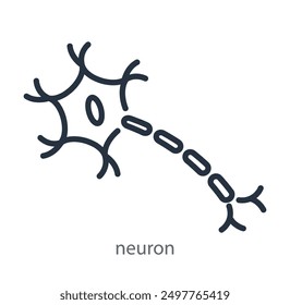 Neuron, nerve cell icon. Logo of neurology science, neurology clinic. Human central nervous system, brain. Vector line illustration isolated on white background.