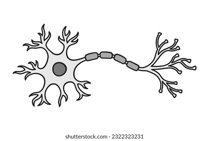 Neuron: nerve cell structure illustration colored in black and white shades