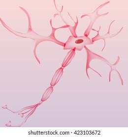 Neuron, nerve cell - Vector Illustration