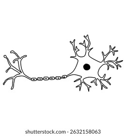 neuron structure diagram outline hand drawn