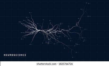 Neuron system model. Neural net structure. Research of the human nerve network. Digital artificial organism. Human mind cells data analysis.