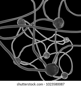 Neuron system wireframe mesh model. Low poly vector illustration. Science and medical healthcare concept