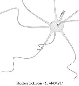 Neuron system wireframe mesh model. Low poly vector illustration. Science and medical healthcare concept