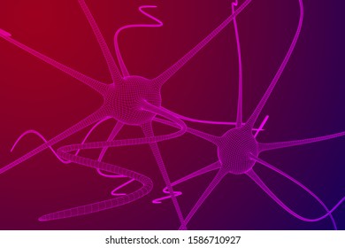 Neuron system wireframe mesh model. Low poly vector illustration. Science and medical healthcare concept