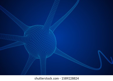 Neuron system wireframe mesh model. Low poly vector illustration. Science and medical healthcare concept