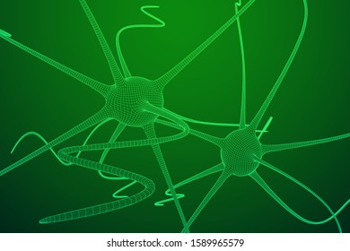 Neuron system wireframe mesh model. Low poly vector illustration. Science and medical healthcare concept