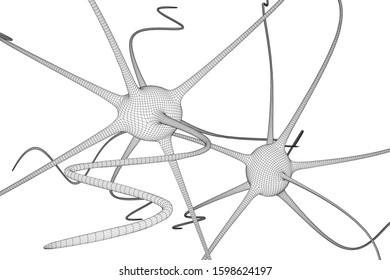 Neuron System Wireframe Mesh Model. Low Poly Vector Illustration. Science And Medical Healthcare Concept