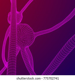 Neuron system wireframe mesh model. Low poly vector illustration. Science and medical healthcare concept