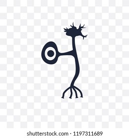 Neuron transparent icon. Neuron symbol design from Human Body Parts collection.