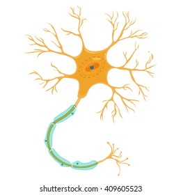 Neuron vector illustration Isolated on a white background.