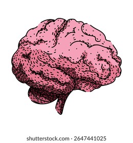neurônios desenho da mão do cérebro. neuroplasticidade da sinapse, percepção da consciência, neurônios do córtex cerebral esboço do vetor cerebral.