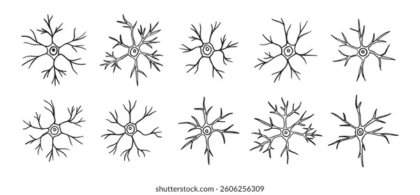 neurons or neuron cells doodle hand drawn icon set. Outline pyramidal neurons drawing line clipart symbol collection. Vector illustration