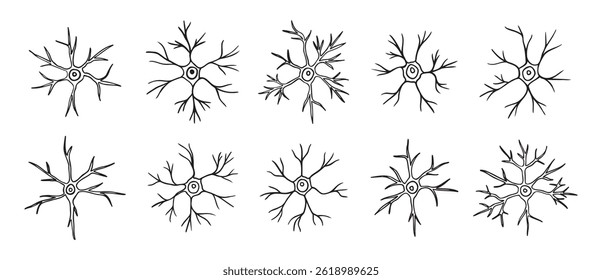 neurônios ou células de neurônios rabiscam o conjunto de ícones desenhados à mão. Contorno de neurônios piramidais desenho linha clipart coleção de símbolos. Ilustração vetorial